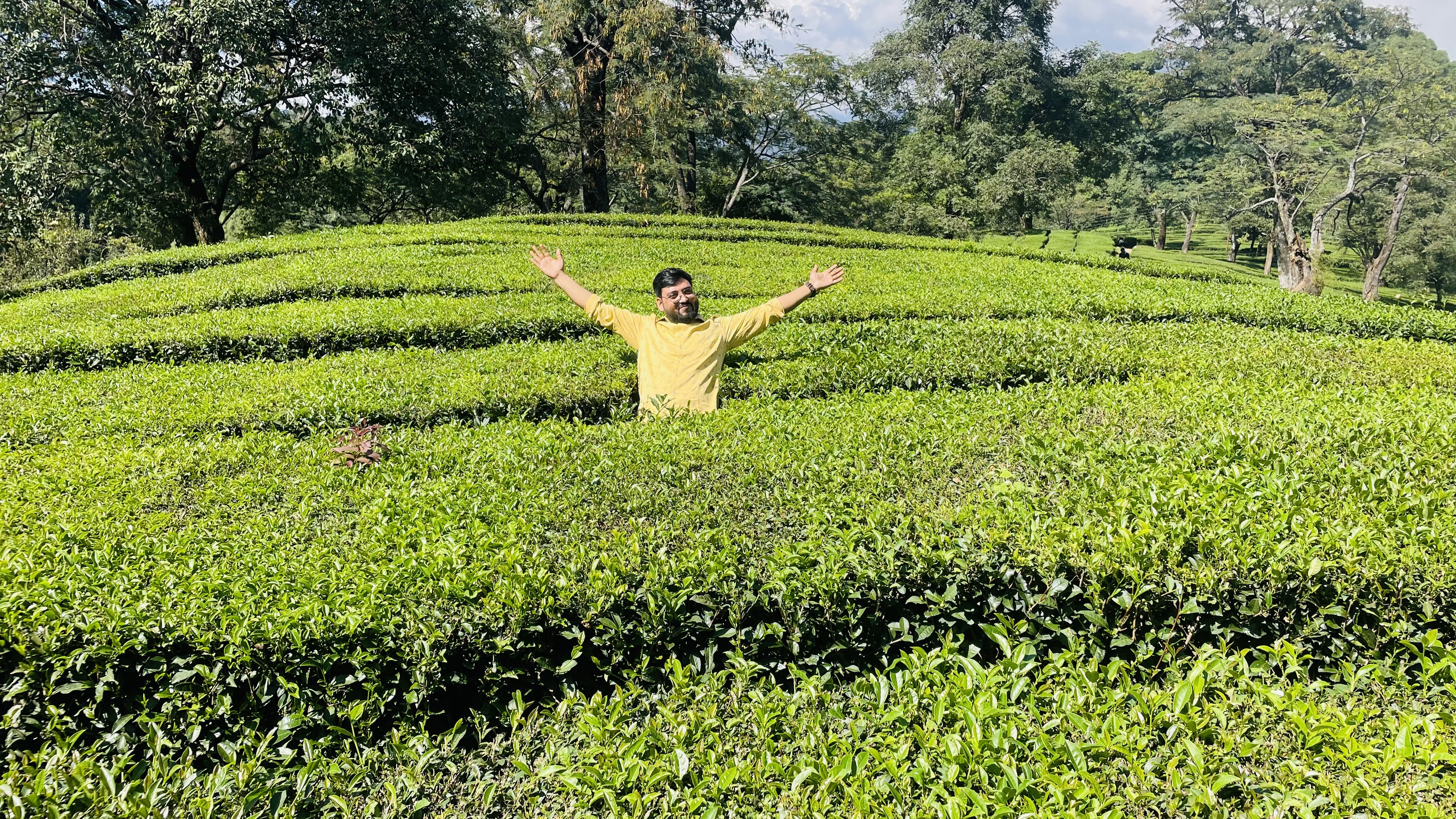 mcleodganj travel tips from delhi by road