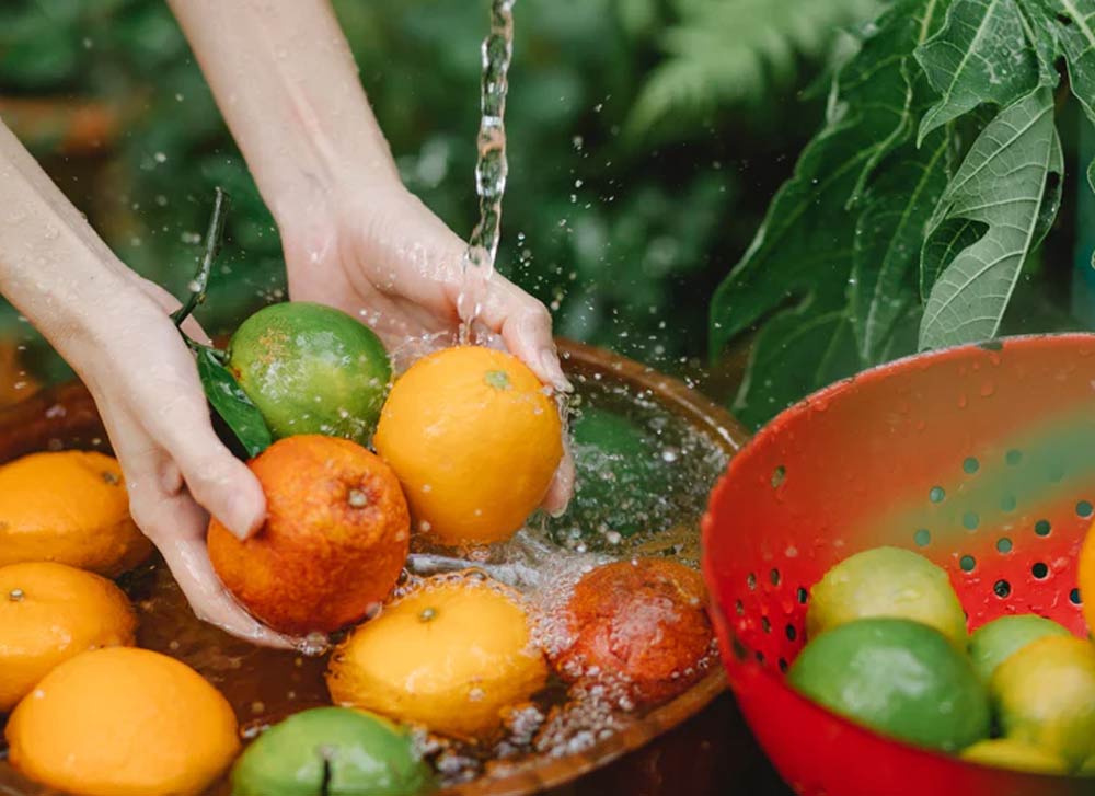 method of extracting juice from fruits