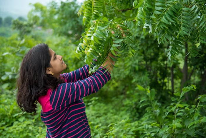 neem plant is good for home