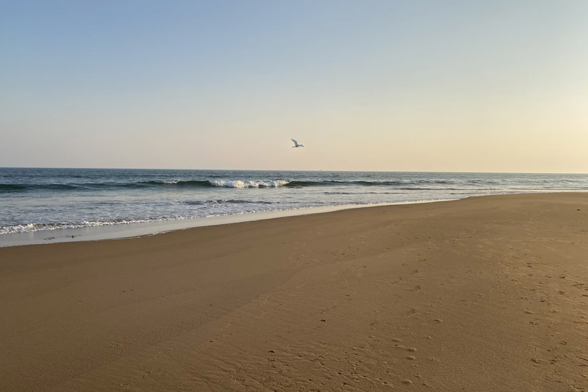 places to visit in puri