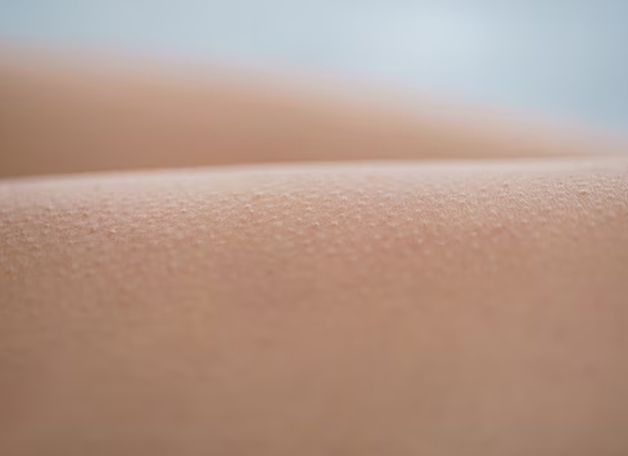 reasons of goosebumps