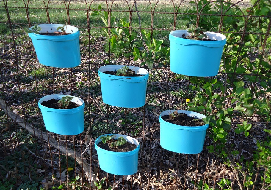 reuse cream box as pot