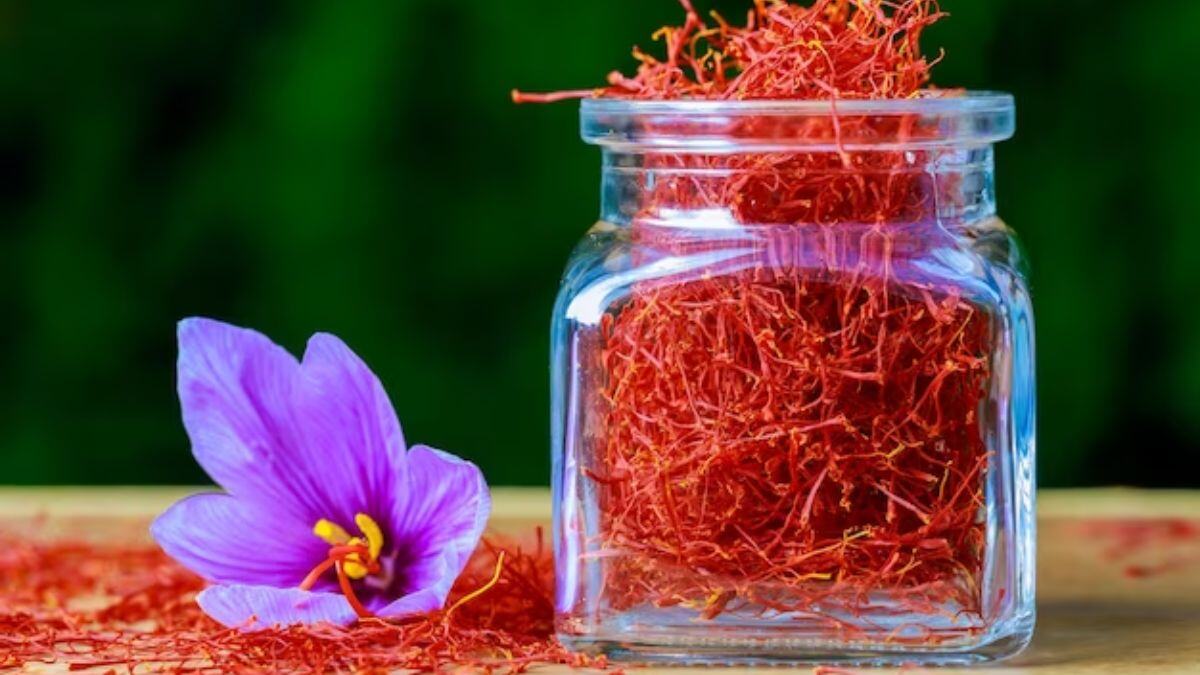 Saffron Tea Benefits : மூட்டுகளை வலுவாக்க, உடல் எடையைக் குறைக்க குங்குமப்பூ டீ குடியுங்கள்!