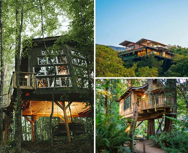 tree house in kerala honeymoon plan and price