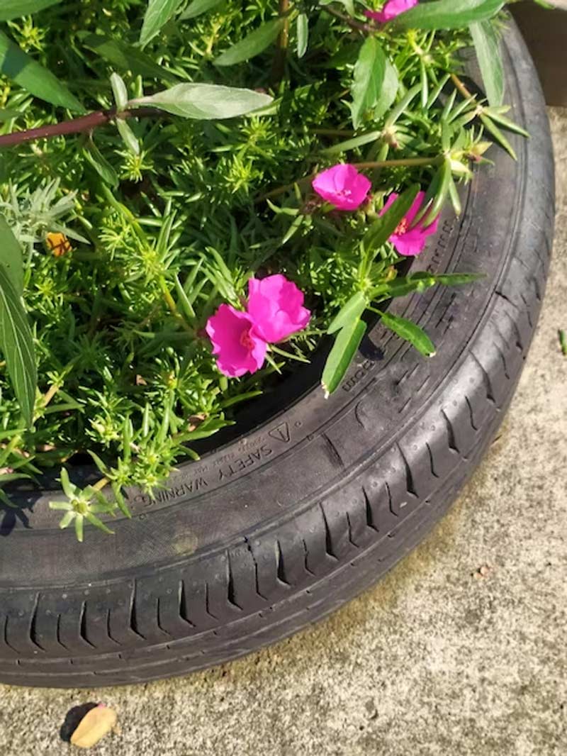 tyre planters for plants