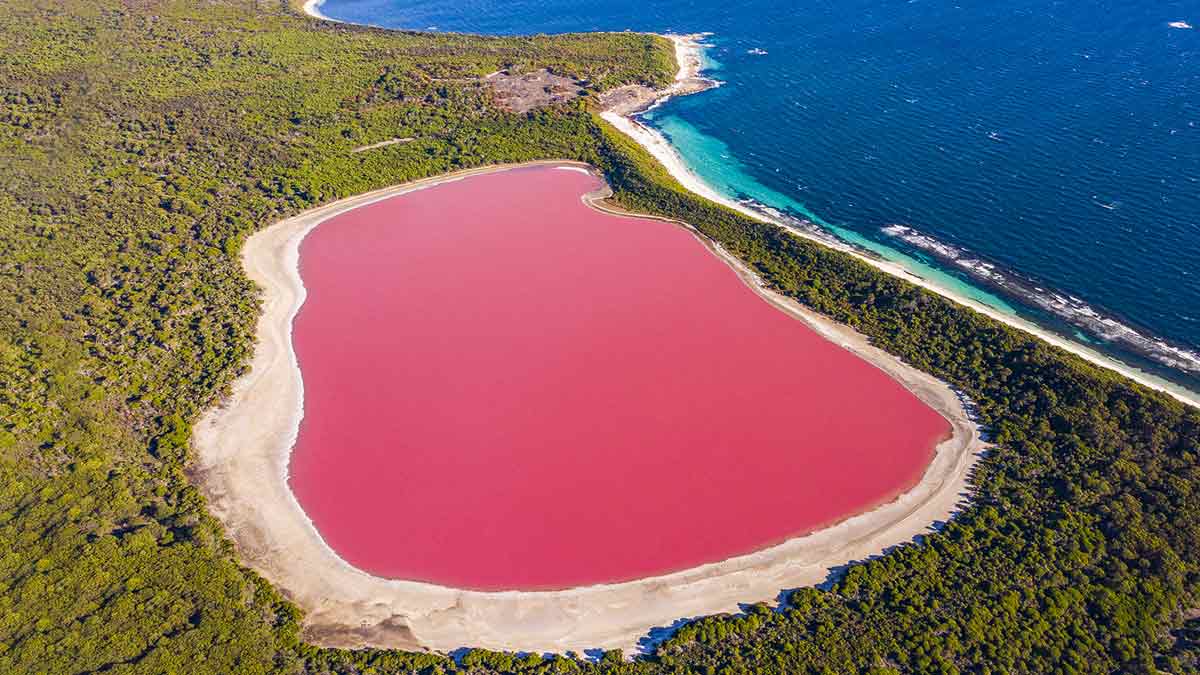 दुनिया में अपने गुलाबी पानी के लिए मशहूर है Pink Lake,जानिए इससे जुड़े इंटरेस्टिंग फैक्ट्स