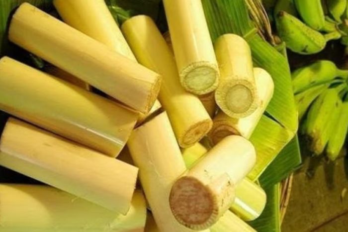 vazhaithandu health benefits