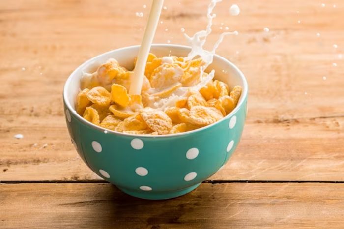 weight loss journey diet tips