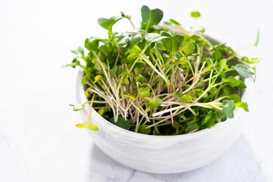where to buy microgreens