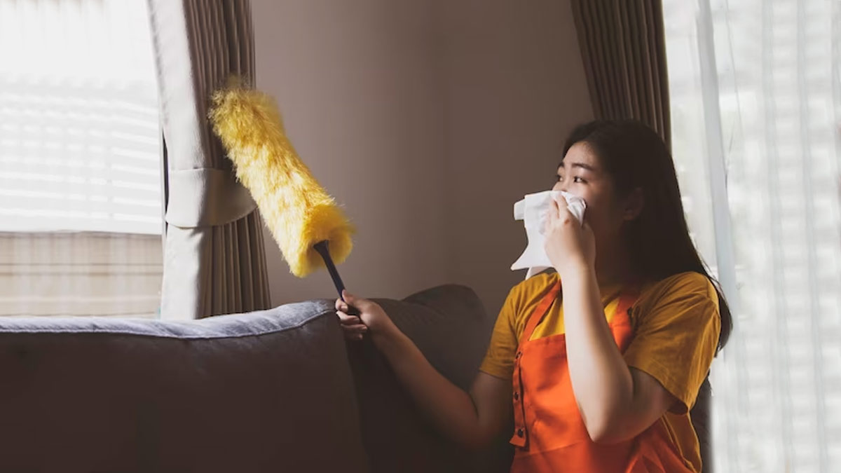 How To Remove Smell From House