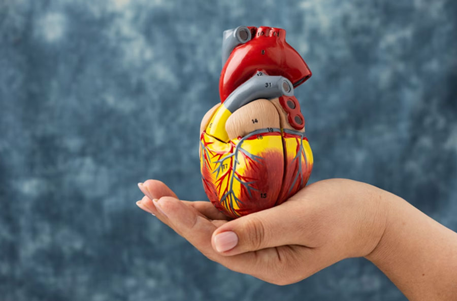 How does salt affect heart health