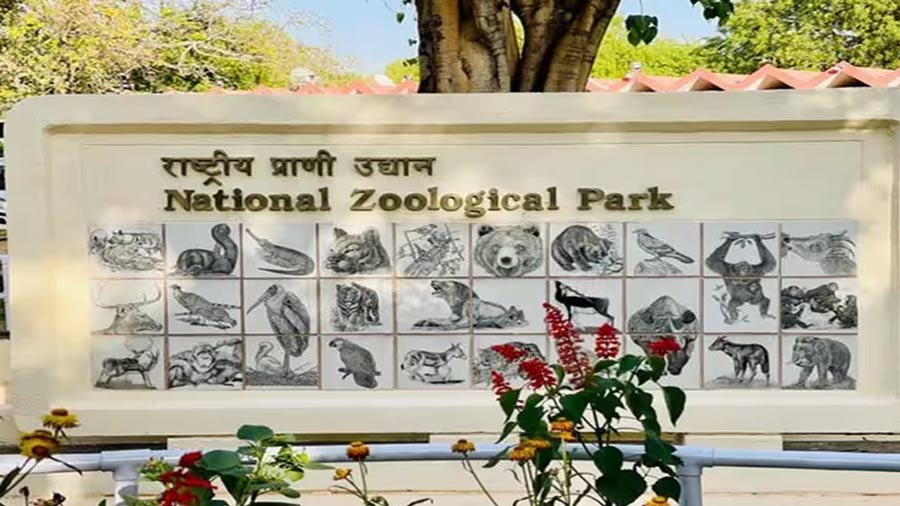National Zoological Park, Delhi