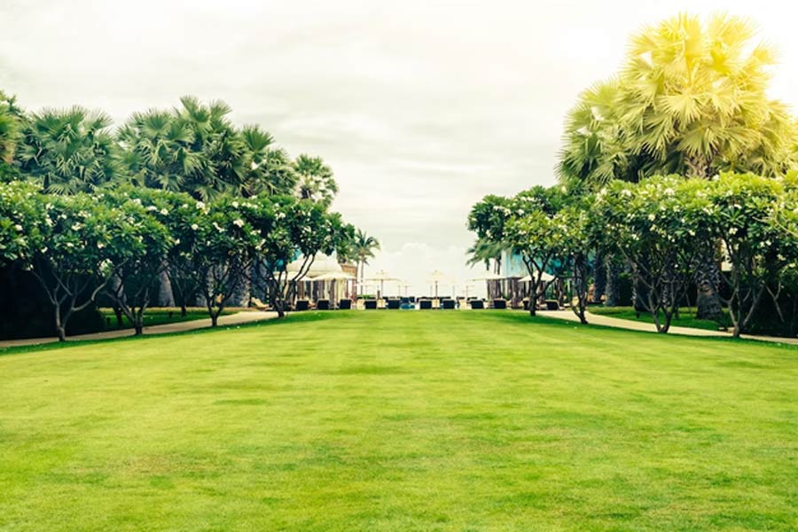 The Garden of Five Senses