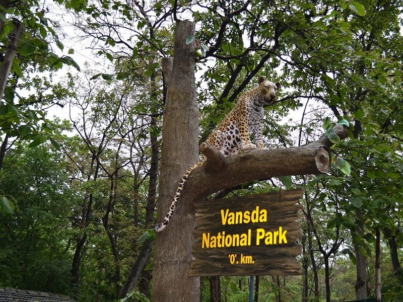 Vansda National Park, Gujarat