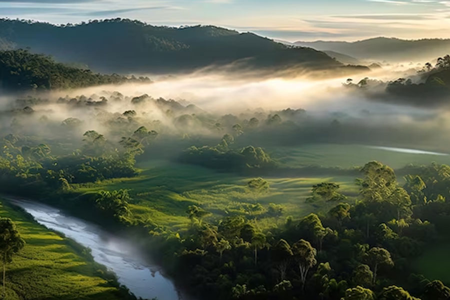 Why Is Cherrapunji So Famous, Meghalaya