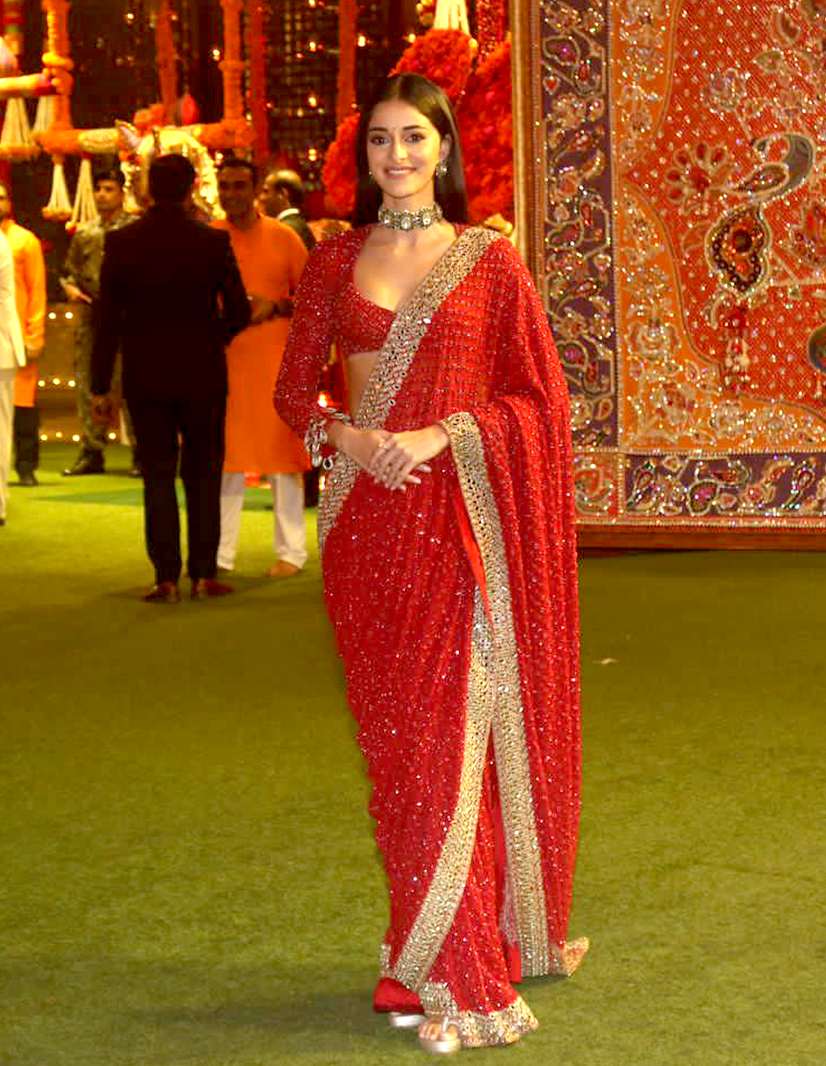ananya panday in border work saree
