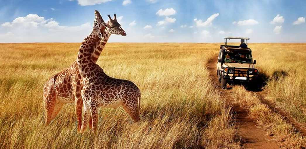 best places for jungle safari