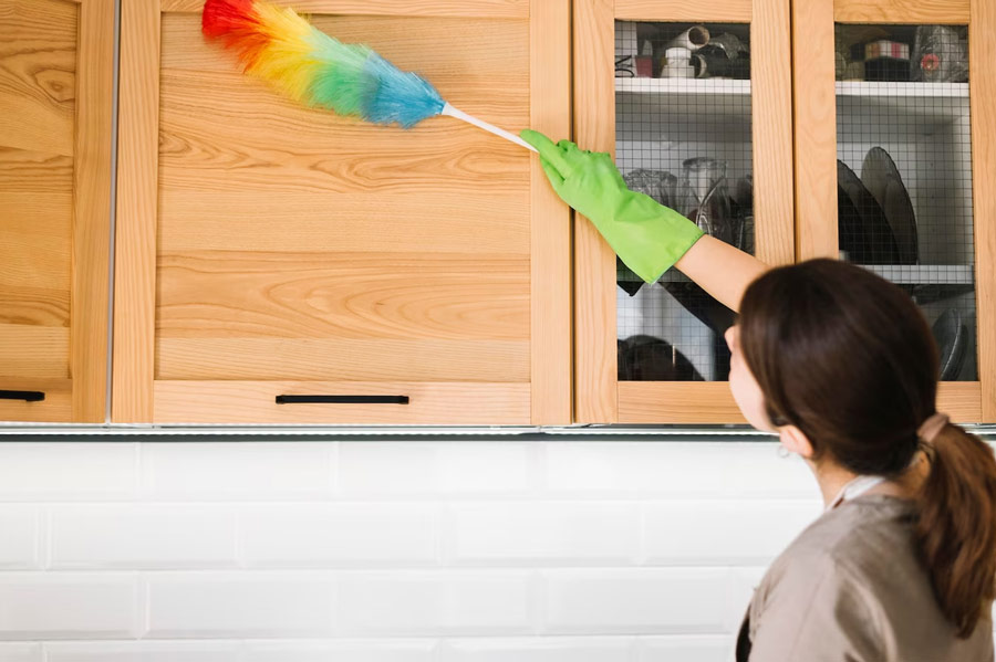 daily activity for organizing home