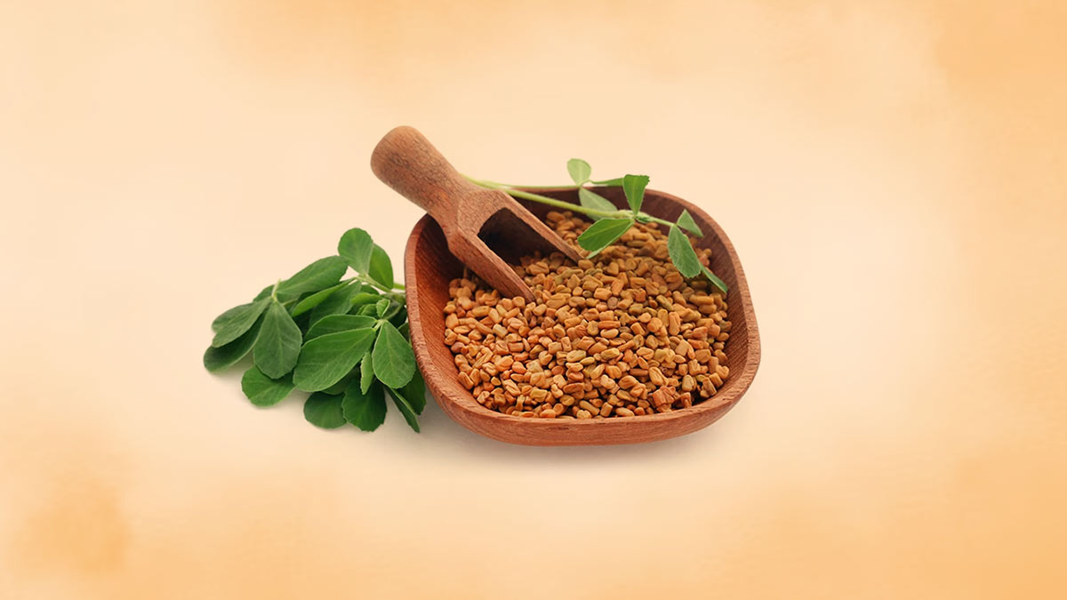 fenugreek seeds side effects methi dana