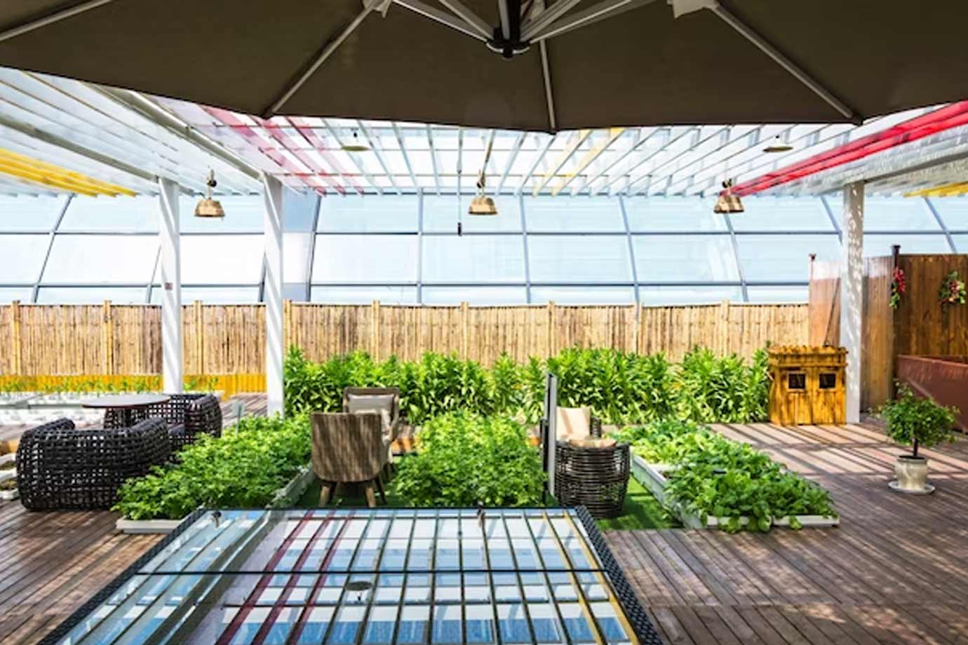 gardening ideas for terrace