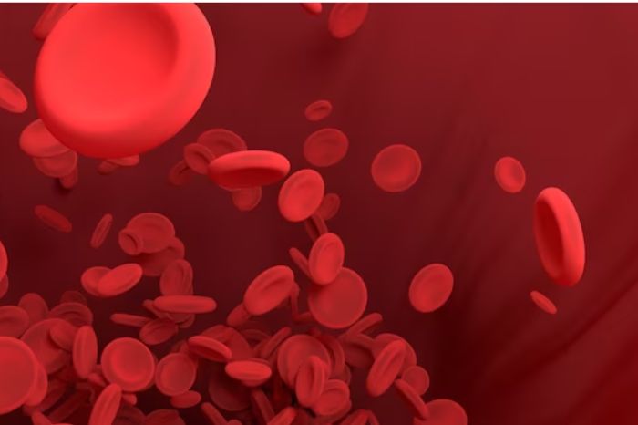 hb levels improving food