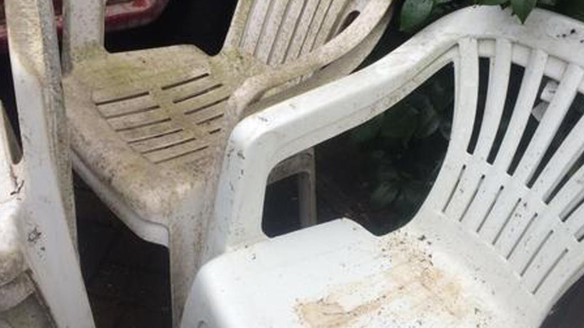 Cleaning Hacks कुर्सी पर लगे जिद्दी निशानों को मिनटों में ऐसे करें साफ