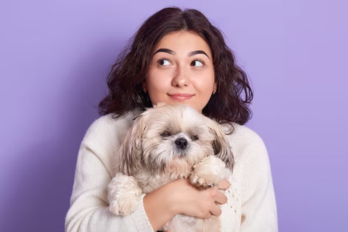 how to maintain hygein during period in female dogs