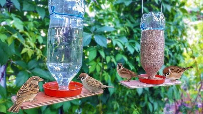 how to make bird feeder at home
