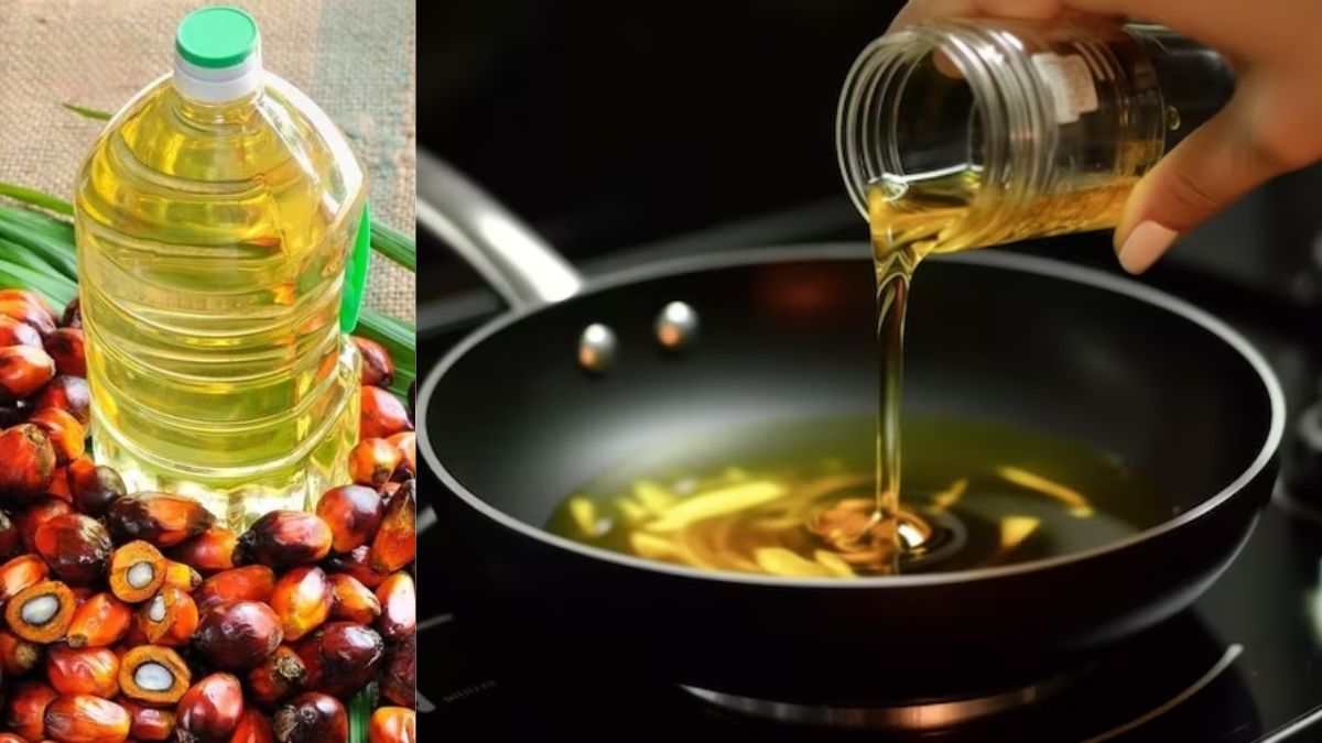 Palm Oil Cooking : சமையலுக்கு பாமாயிலை பயன்படுத்தலாமா? நிறை குறைகளை தெரிந்துகொள்ளுங்கள்!