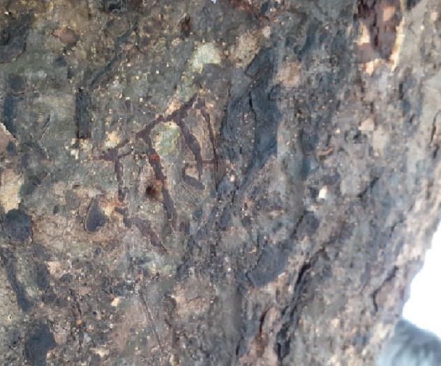 kannauj lord ram name appears in step tree visit in diwali 