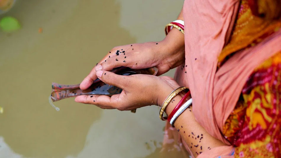 kya mahilae shradh kar sakti hai