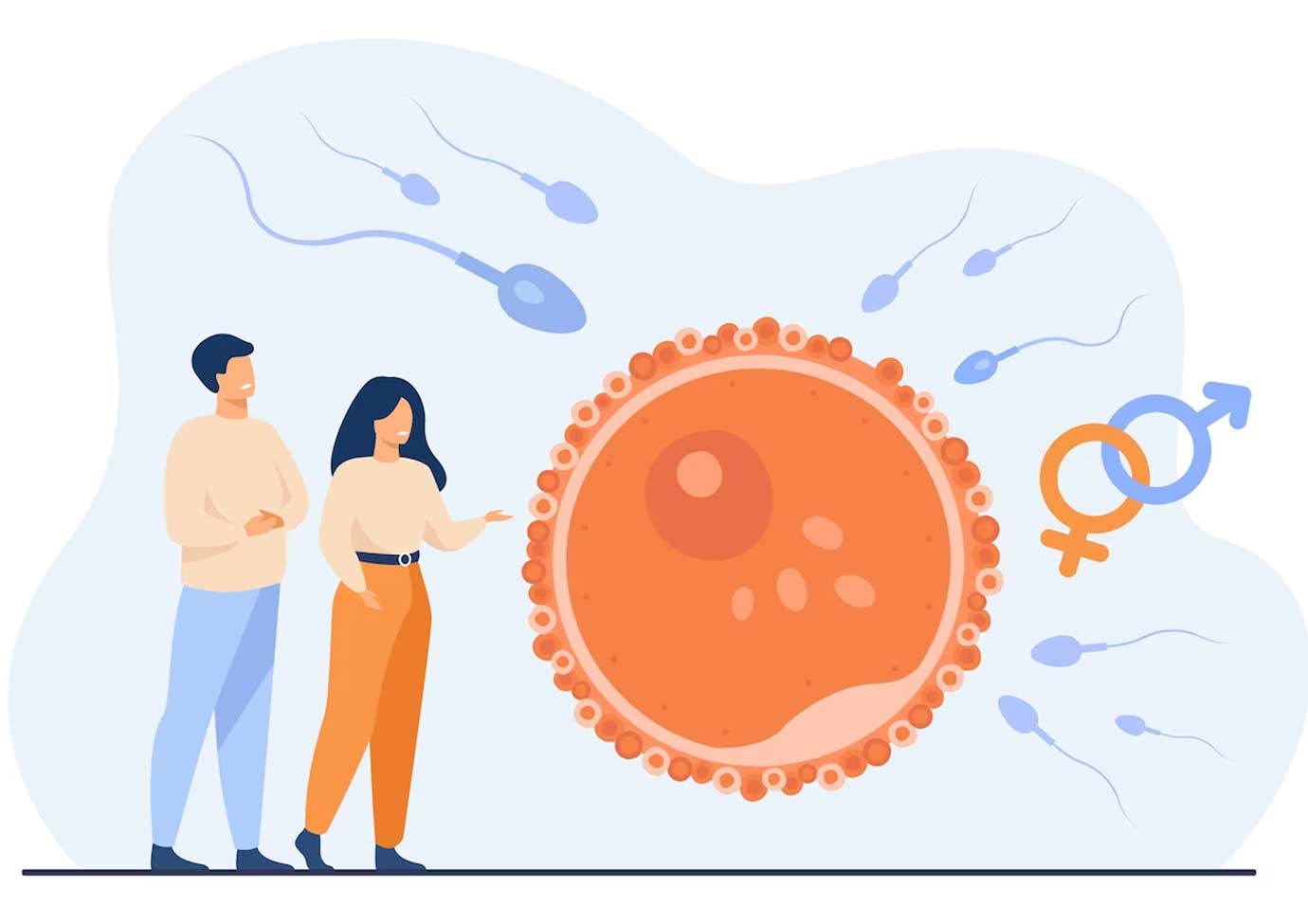 late pregnany egg freezing