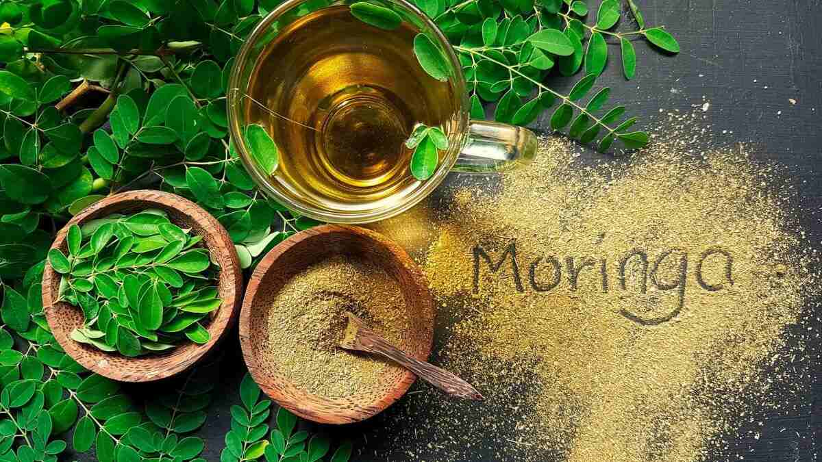 Moringa Powder : உடல் எடை வேகமாக குறைய, முருங்கை இலை பொடியை இப்படி  பயன்படுத்துங்க! | how to use moringa powder for quick weight loss |  HerZindagi Tamil