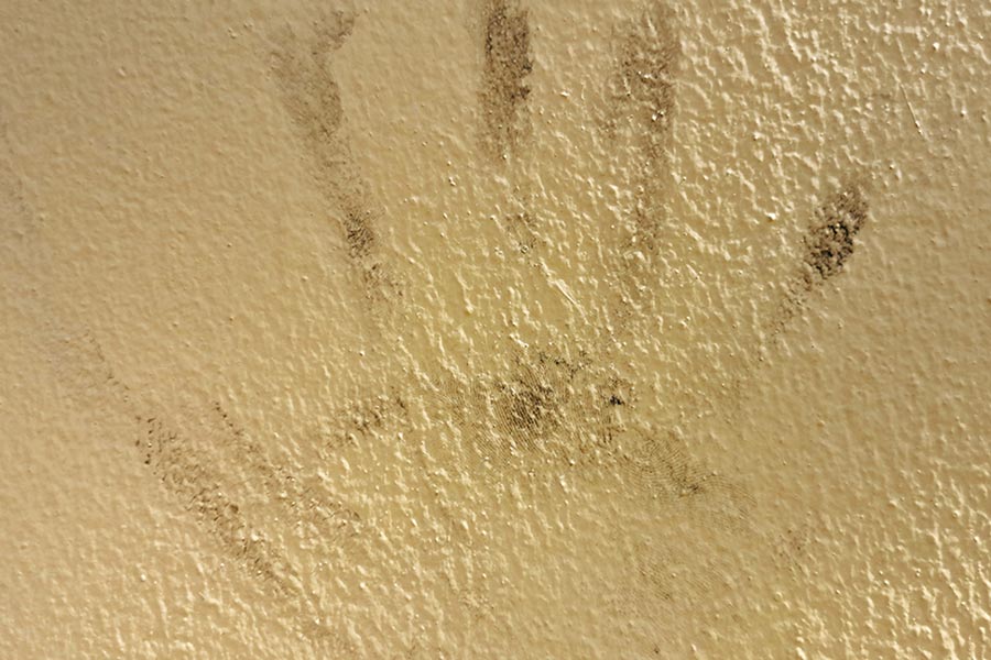 paint and wall problems