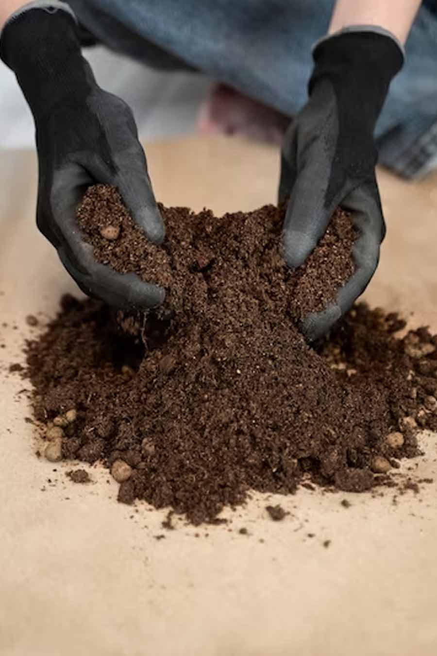 rice starch and bran as fertilizers in gardening