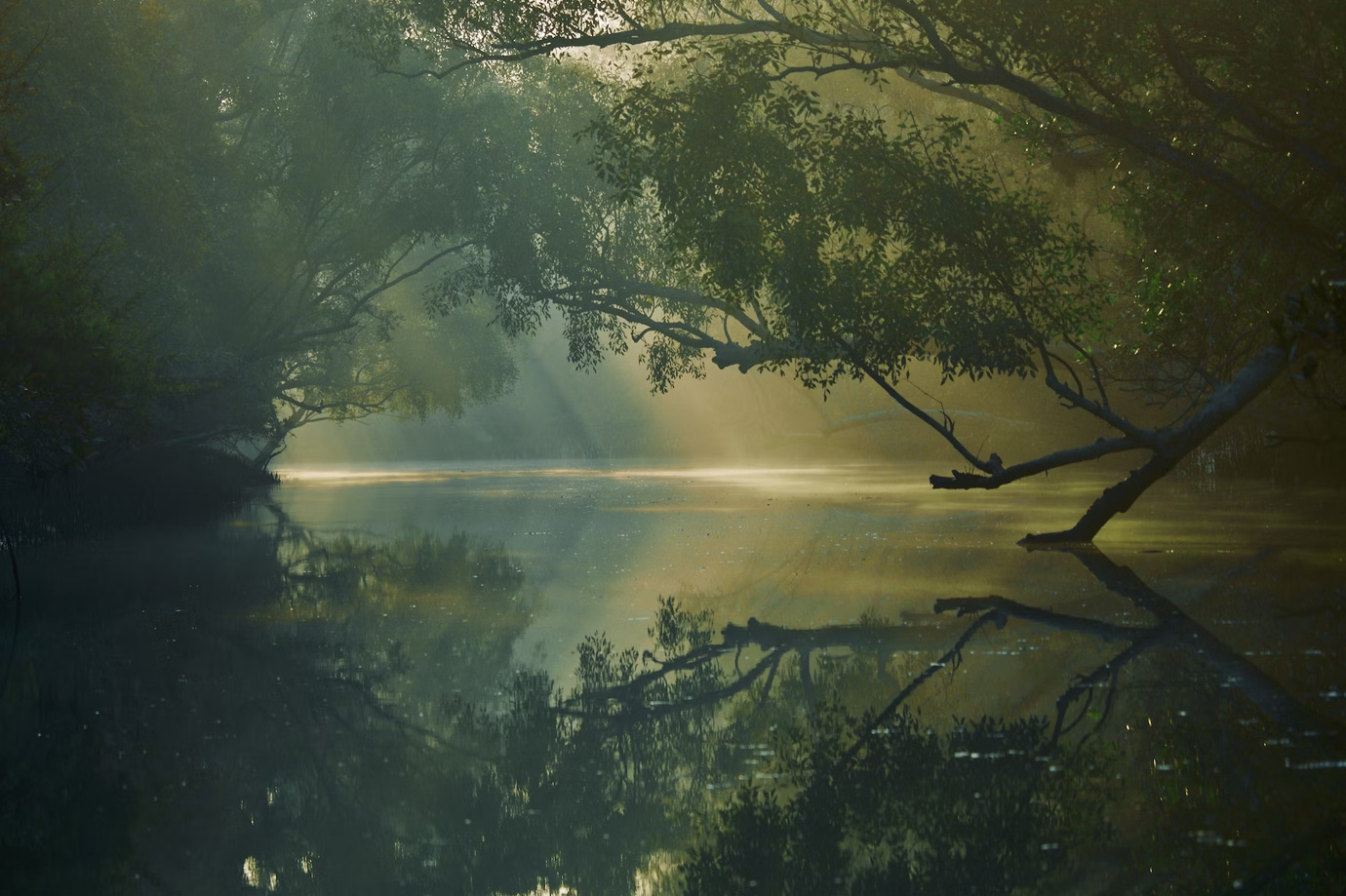 santiniketan sundarbans