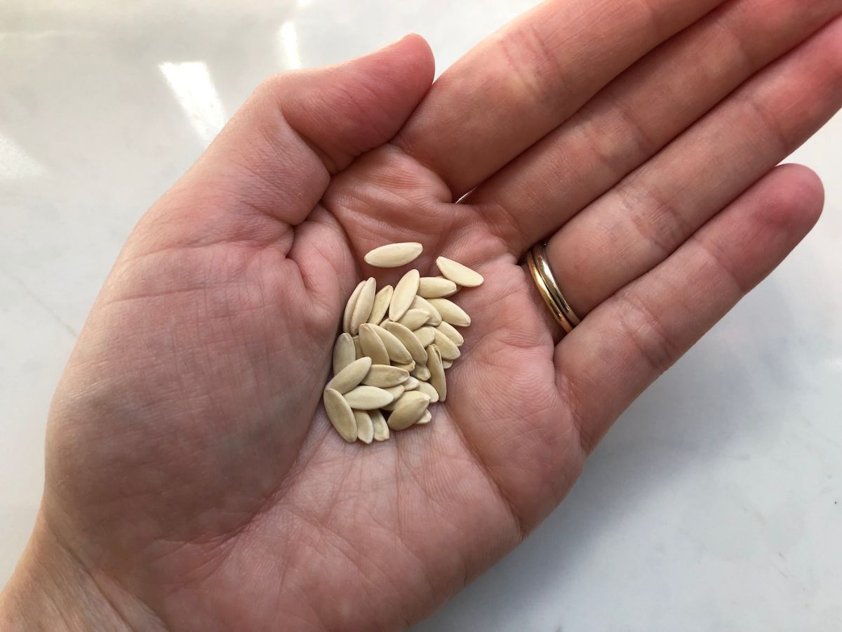 Cucumber Seeds Benefits வெள்ளரி விதைகள் சாப்பிடுவது இவ்வளவு நல்லதா