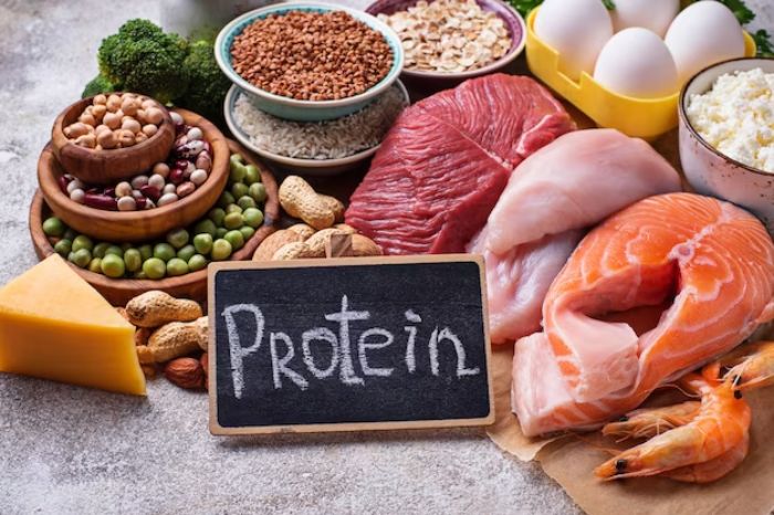 tips to lose belly fat protein foods