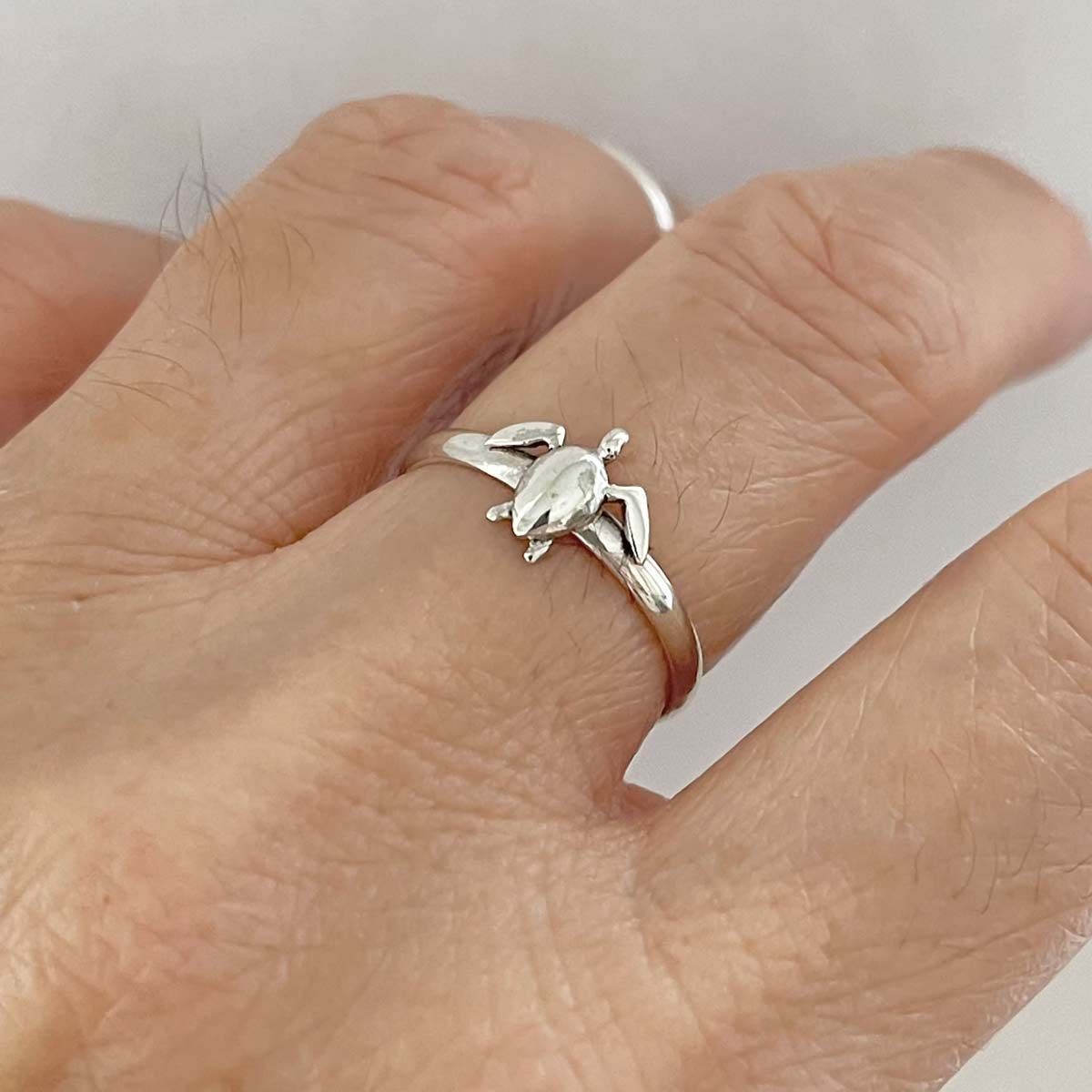 turtle ring pahan ne ke labh