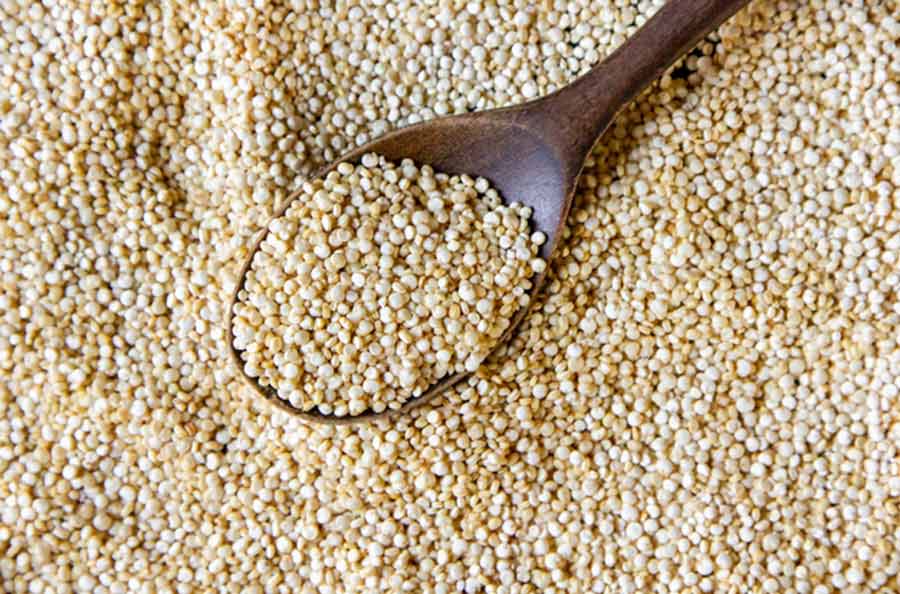 types of millets