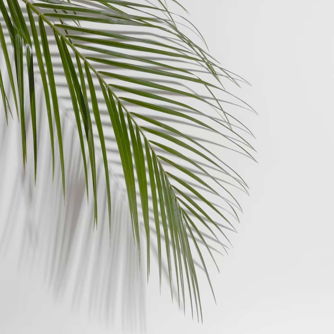 west facing house and vastu tips in hindi