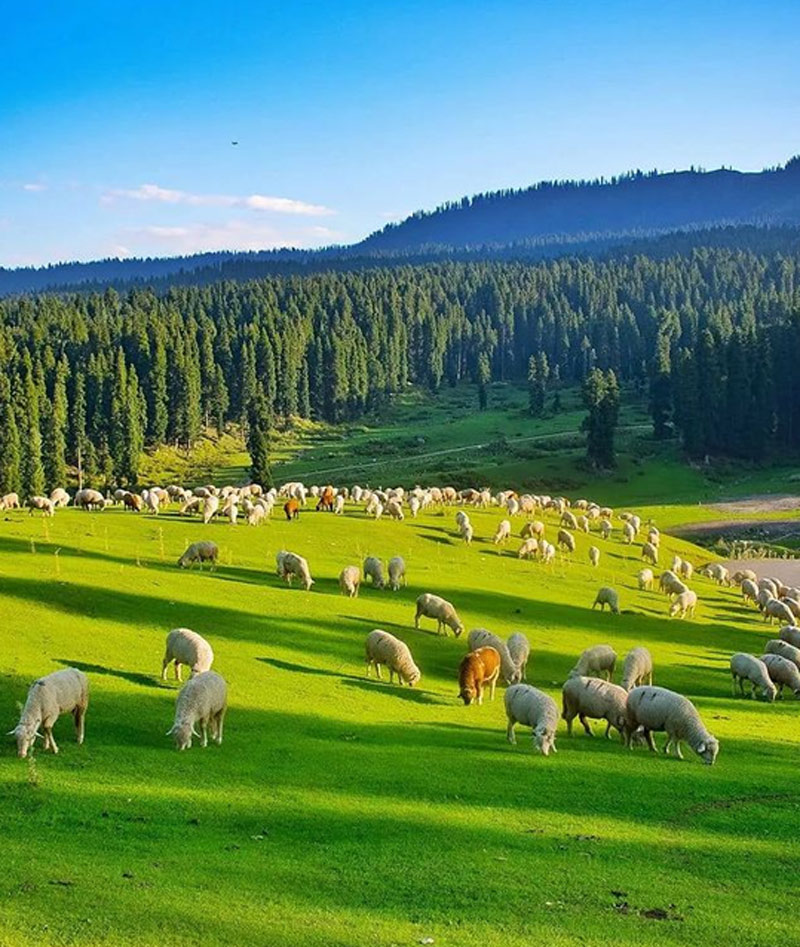 Doodhpathri jammu and kashmir