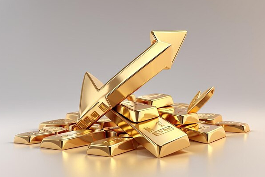 Purpose of Gold Investment