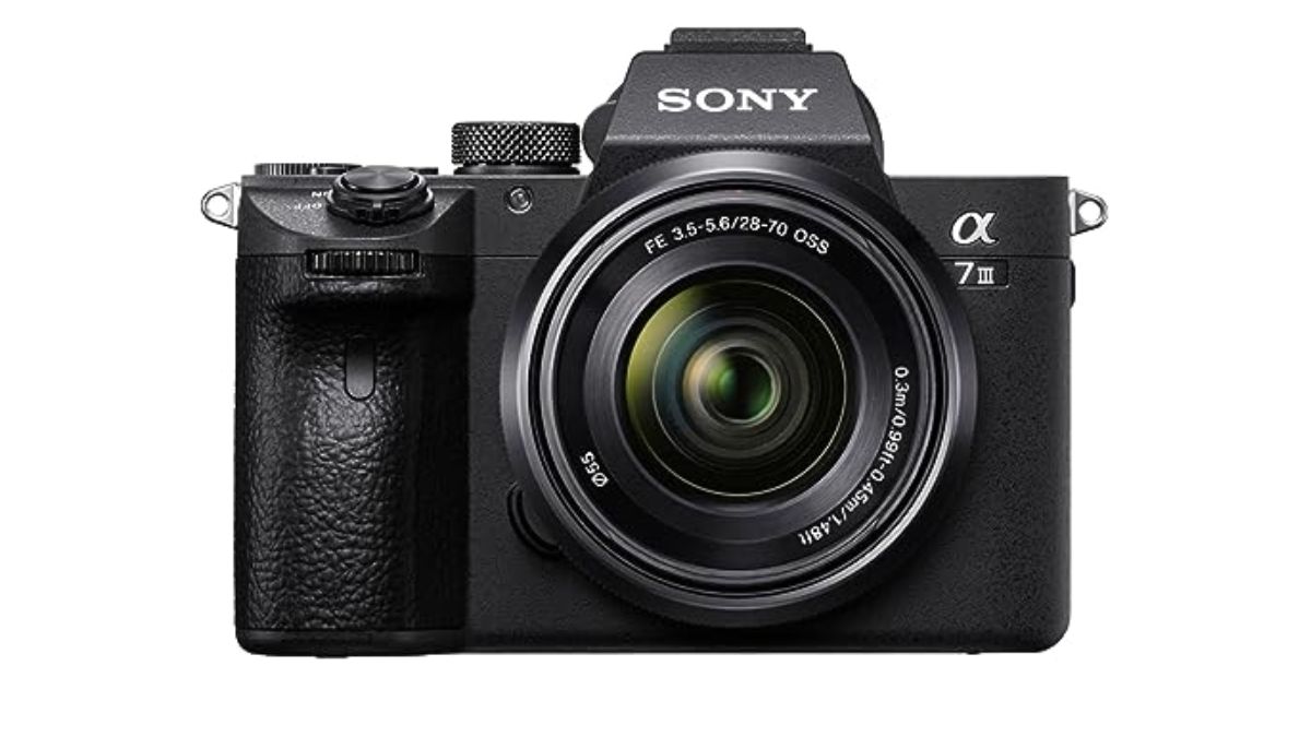 Best Sony Mirrorless Cameras (April 2024) Ideal For Beginners And