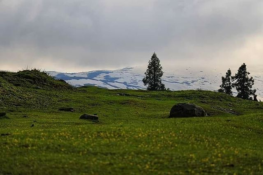 Yusmarg is famous for