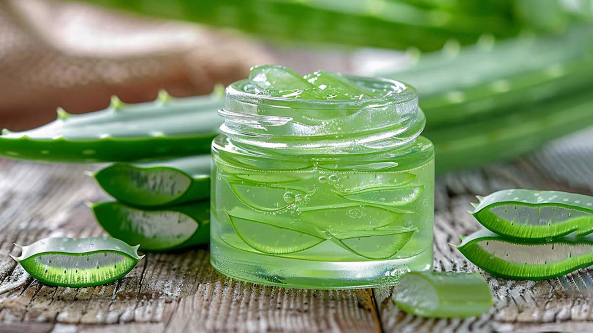 How To Make Aloe Vera Gel At Home For Your Skin Hair And Wounds? |  HerZindagi