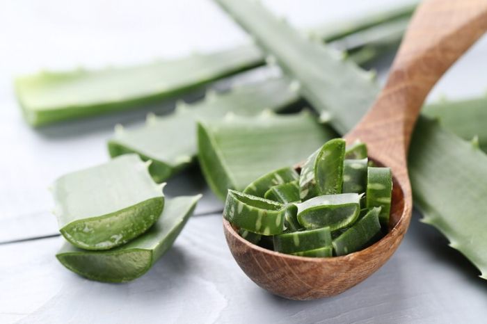 aloe vera inside 