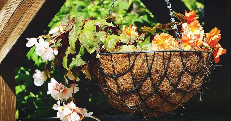 best soil for hanging baskets