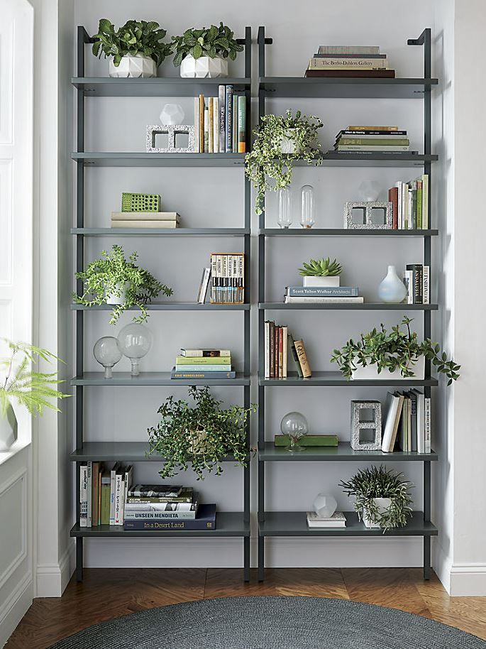 bookshelf with plants and books
