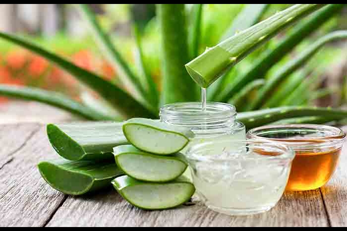 consume aloe vera in summer 